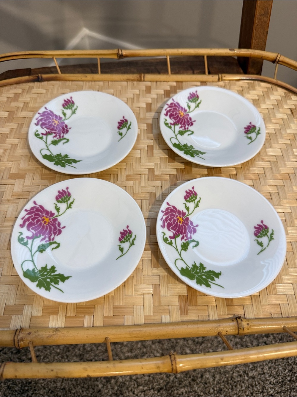 Vintage MANN Japan Botanica Water Colors by Eda Set of 4 Fine China Tea Saucers